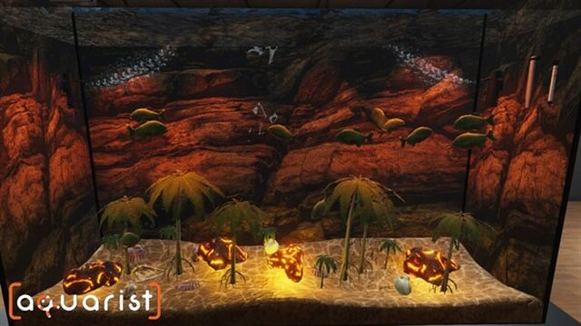 Hình ảnh trong game Aquarist v20240916-P2P Hình ảnh trong game Aquarist v20240916-P2P