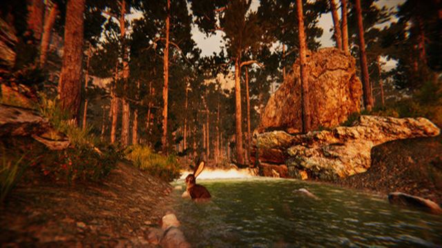 Hình ảnh trong game Animal Simulator-TENOKE Hình ảnh trong game Animal Simulator-TENOKE
