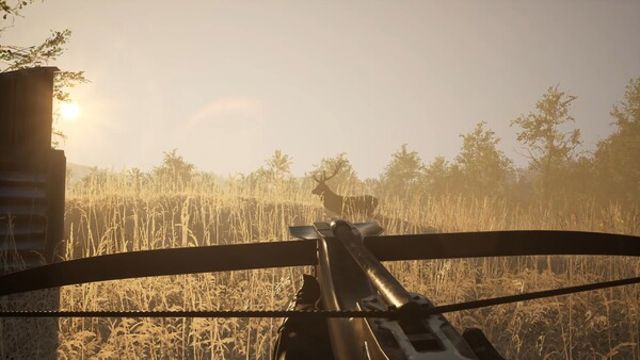Hình ảnh trong game Sword and Shield Simulator Early Access Hình ảnh trong game Sword and Shield Simulator Early Access
