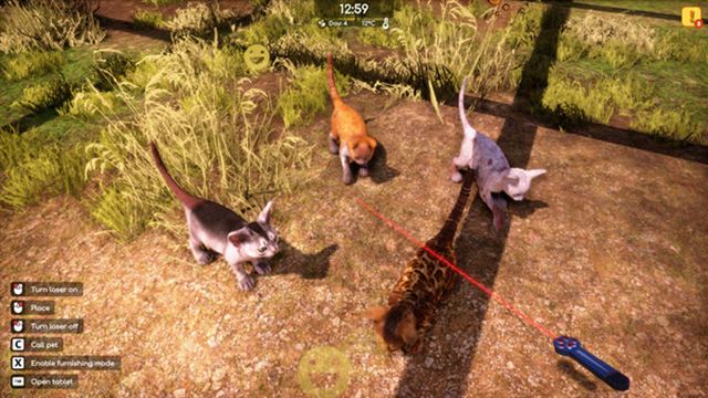 Hình ảnh trong game Animal Shelter 2 v1.0.32-P2P Hình ảnh trong game Animal Shelter 2 v1.0.32-P2P