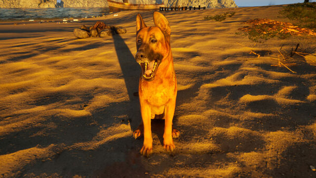 Hình ảnh trong game Restore Your Island-GoldBerg Hình ảnh trong game Restore Your Island-GoldBerg