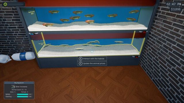 Hình ảnh trong game Exotica 2 Pet Shop Simulator-TENOKE Hình ảnh trong game Exotica 2 Pet Shop Simulator-TENOKE