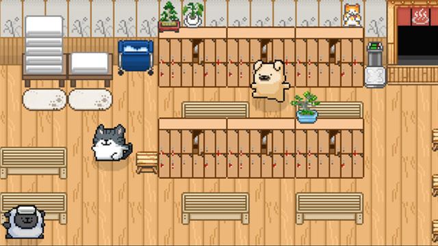 Hình ảnh trong game Malteses Fluffy Onsen-TENOKE Hình ảnh trong game Malteses Fluffy Onsen-TENOKE
