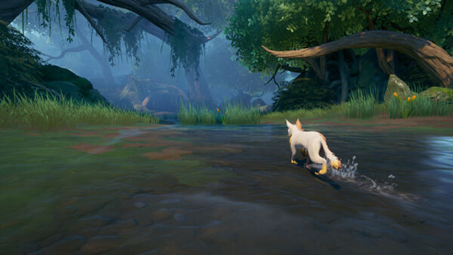 Hình ảnh trong game Warrior Cats Clans of the Forest-RUNE Hình ảnh trong game Warrior Cats Clans of the Forest-RUNE