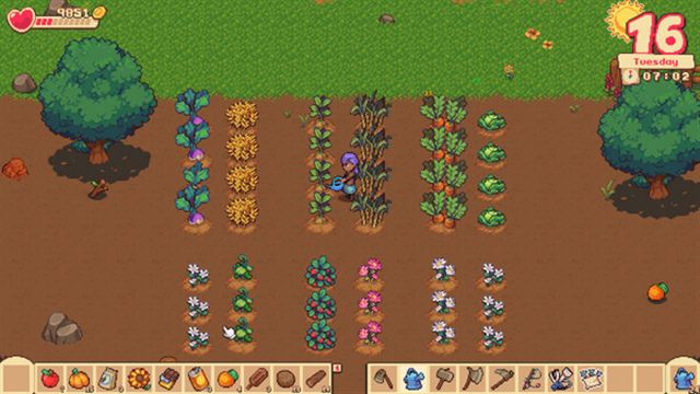 Hình ảnh trong game Orange Season-GoldBerg Hình ảnh trong game Orange Season-GoldBerg