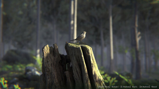 Hình ảnh trong game Jukai Maze-TENOKE Hình ảnh trong game Jukai Maze-TENOKE