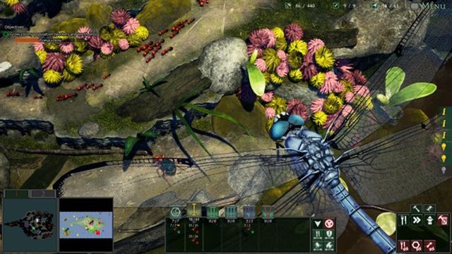 Hình ảnh trong game Empires of the Undergrowth v1.000022-P2P Hình ảnh trong game Empires of the Undergrowth v1.000022-P2P