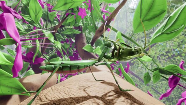 Hình ảnh trong game Nature And Life Drunk On Nectar v1.0.4.3-P2P Hình ảnh trong game Nature And Life Drunk On Nectar v1.0.4.3-P2P