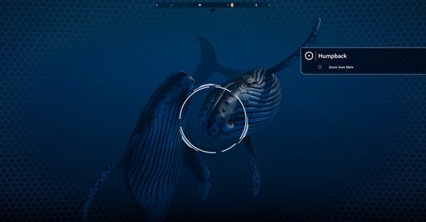 Hình ảnh trong game Beyond Blue v1.7.17798-P2P Hình ảnh trong game Beyond Blue v1.7.17798-P2P