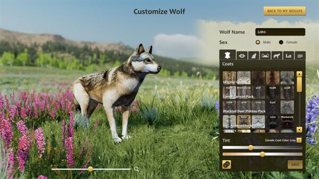 Hình ảnh trong game WolfQuest Anniversary Edition v2.0.3d-P2P Hình ảnh trong game WolfQuest Anniversary Edition v2.0.3d-P2P