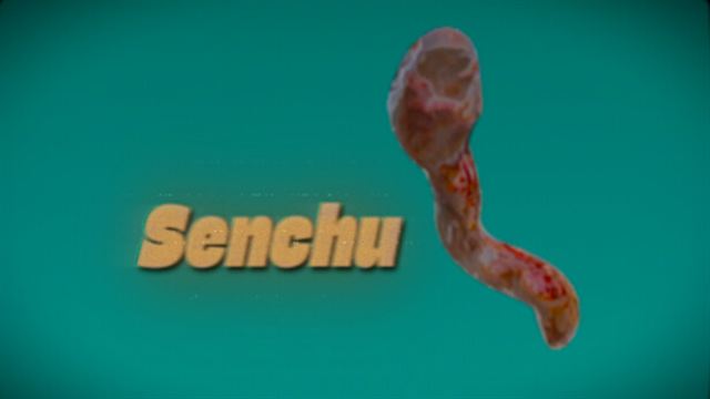 Bộ sưu tập game Senchu/線虫