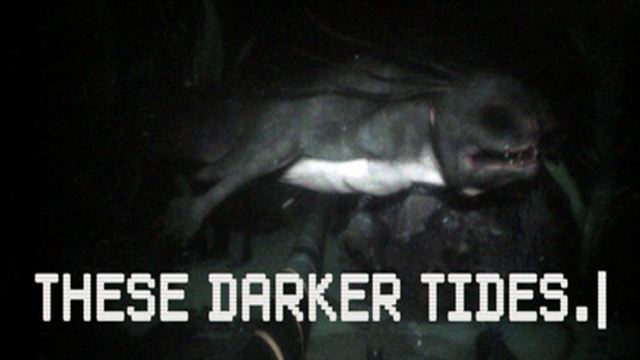 Bộ sưu tập game These Darker Tides