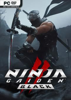 Tải game NINJA GAIDEN 2 Black-RUNE